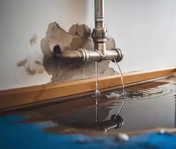 Professional Water Damage Restoration Experts in Newton, MA — Fast, Reliable & Certified