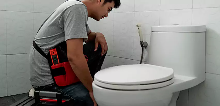 Toilet Repair in Newton