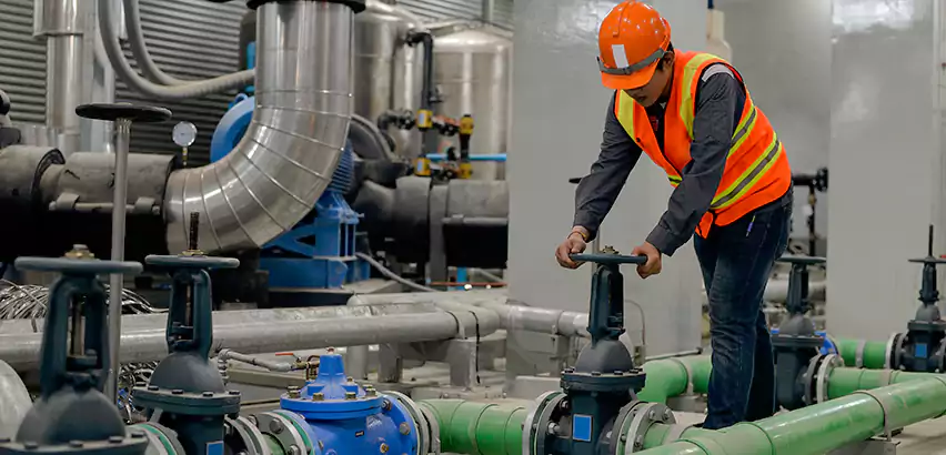 Top-Notch Trenchless Sewer Line Repair Services in Newton, MA.
