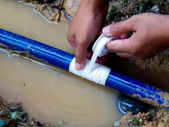  Why Choose Master Plumbing Newton for Leak Detection in Newton, MA?]