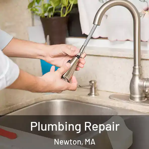  Plumbing Repair Newton, MA