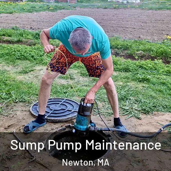  Sump Pump Maintenance Newton, MA