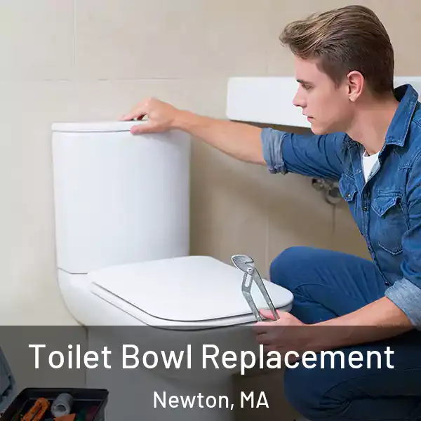  Toilet Bowl Replacement Newton, MA