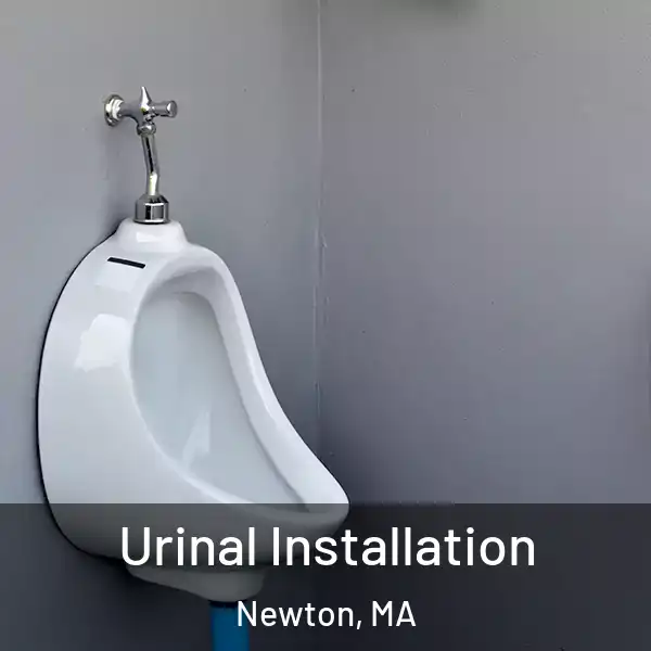  Urinal Installation Newton, MA